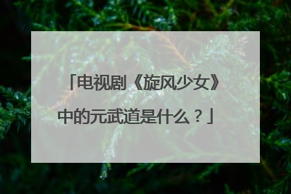 电视剧《旋风少女》中的元武道是什么？