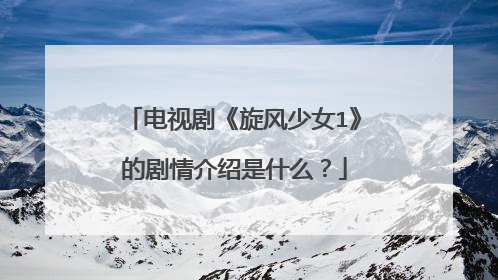 电视剧《旋风少女1》的剧情介绍是什么？