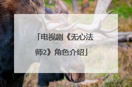 电视剧《无心法师2》角色介绍