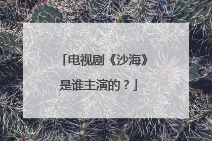 电视剧《沙海》是谁主演的?