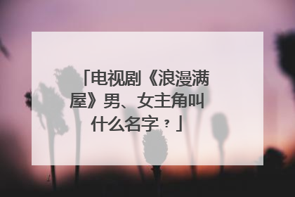 电视剧《浪漫满屋》男、女主角叫什么名字﹖