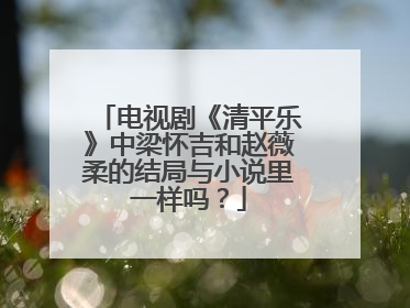 电视剧《清平乐》中梁怀吉和赵薇柔的结局与小说里一样吗?
