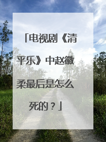 电视剧《清平乐》中赵徽柔最后是怎么死的？