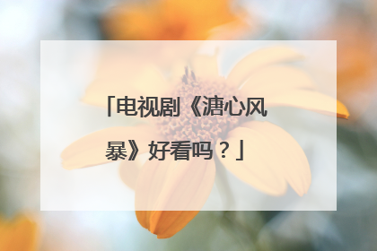 电视剧《溏心风暴》好看吗？