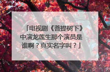 电视剧《菩提树下》中演龙莲生那个演员是谁啊？真实名字叫？