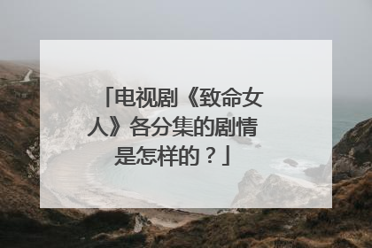 电视剧《致命女人》各分集的剧情是怎样的？