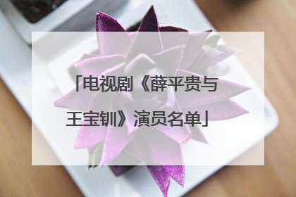 电视剧《薛平贵与王宝钏》演员名单