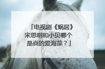电视剧《蜗居》宋思明和小贝哪个是真的爱海藻？