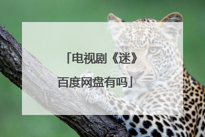 电视剧《迷》百度网盘有吗