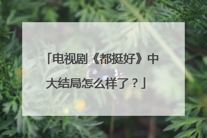 电视剧《都挺好》中大结局怎么样了？