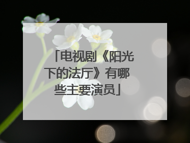 电视剧《阳光下的法厅》有哪些主要演员