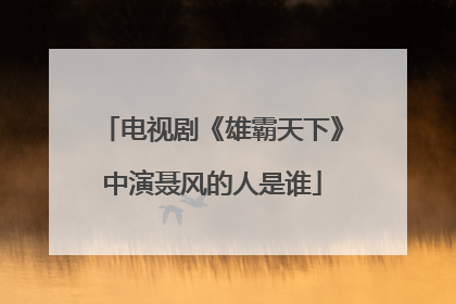 电视剧《雄霸天下》中演聂风的人是谁