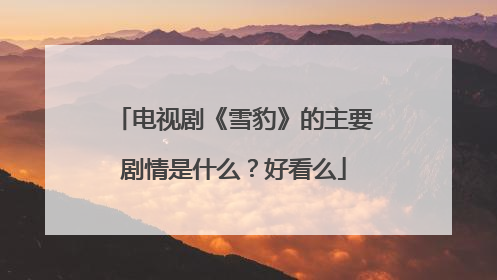 电视剧《雪豹》的主要剧情是什么?好看么