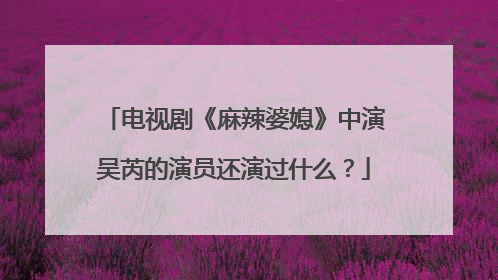 电视剧《麻辣婆媳》中演吴芮的演员还演过什么?