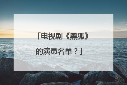 电视剧《黑狐》的演员名单？