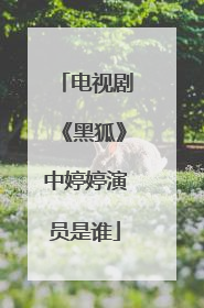 电视剧《黑狐》中婷婷演员是谁