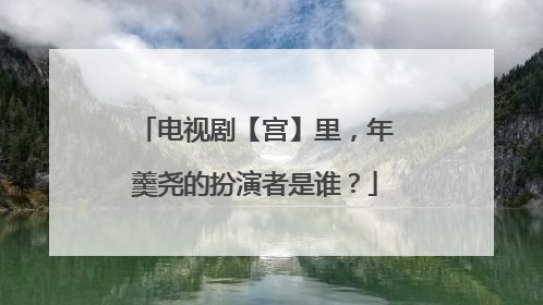 电视剧【宫】里，年羹尧的扮演者是谁？