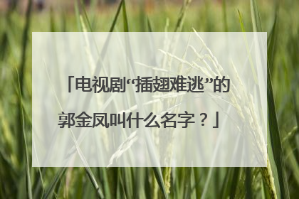 电视剧“插翅难逃”的郭金凤叫什么名字?
