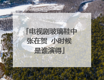 电视剧玻璃鞋中 张在贺 小时候 是谁演得