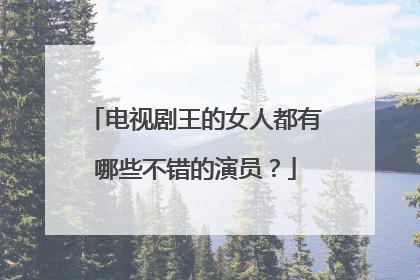 电视剧王的女人都有哪些不错的演员？