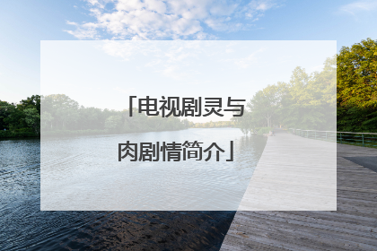 电视剧灵与肉剧情简介
