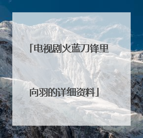 电视剧火蓝刀锋里向羽的详细资料