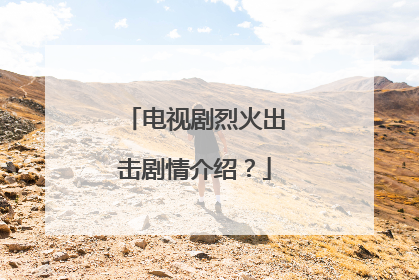 电视剧烈火出击剧情介绍？