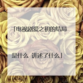 电视剧爱之初的结局是什么 讲述了什么