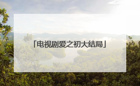 电视剧爱之初大结局