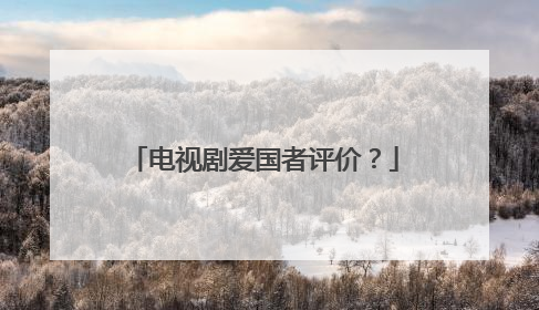 电视剧爱国者评价?