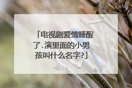 电视剧爱情睡醒了.演里面的小男孩叫什么名字?