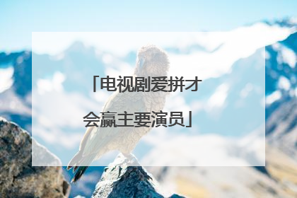 电视剧爱拼才会赢主要演员