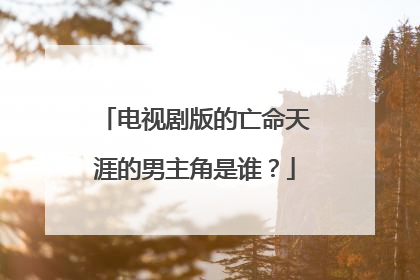 电视剧版的亡命天涯的男主角是谁?