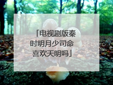 电视剧版秦时明月少司命喜欢天明吗