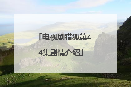 电视剧猎狐第44集剧情介绍