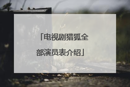 电视剧猎狐全部演员表介绍