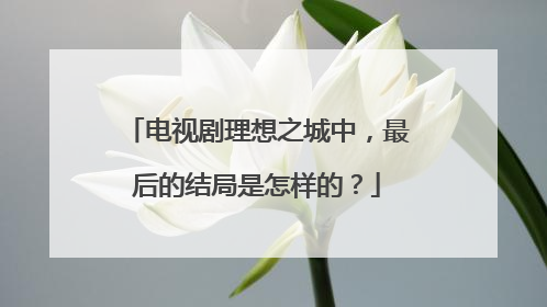 电视剧理想之城中，最后的结局是怎样的？
