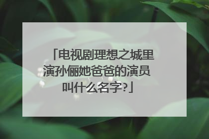 电视剧理想之城里演孙俪她爸爸的演员叫什么名字?