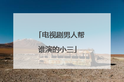 电视剧男人帮谁演的小三