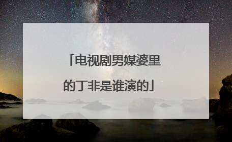 电视剧男媒婆里的丁非是谁演的