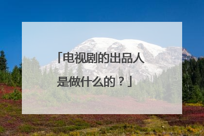 电视剧的出品人是做什么的？