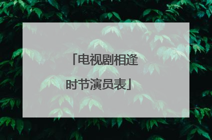 电视剧相逢时节演员表