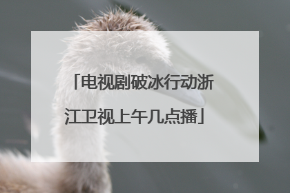 电视剧破冰行动浙江卫视上午几点播