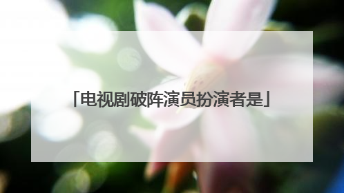电视剧破阵演员扮演者是