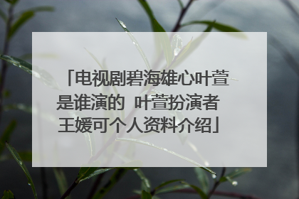 电视剧碧海雄心叶萱是谁演的 叶萱扮演者王媛可个人资料介绍