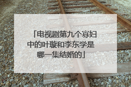 电视剧第九个寡妇中的叶璇和李东学是哪一集结婚的