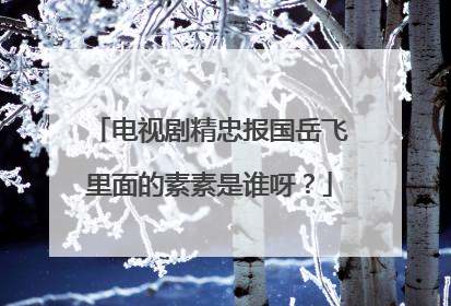 电视剧精忠报国岳飞里面的素素是谁呀？