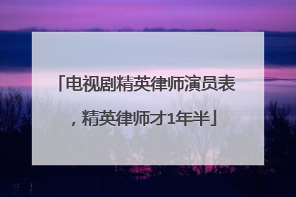 电视剧精英律师演员表，精英律师才1年半