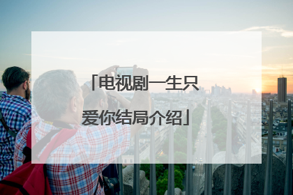 电视剧一生只爱你结局介绍