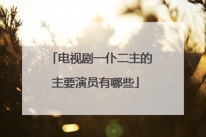 电视剧一仆二主的主要演员有哪些